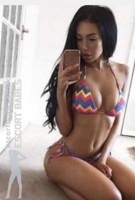 Rose  Escort Stoke-on-Trent